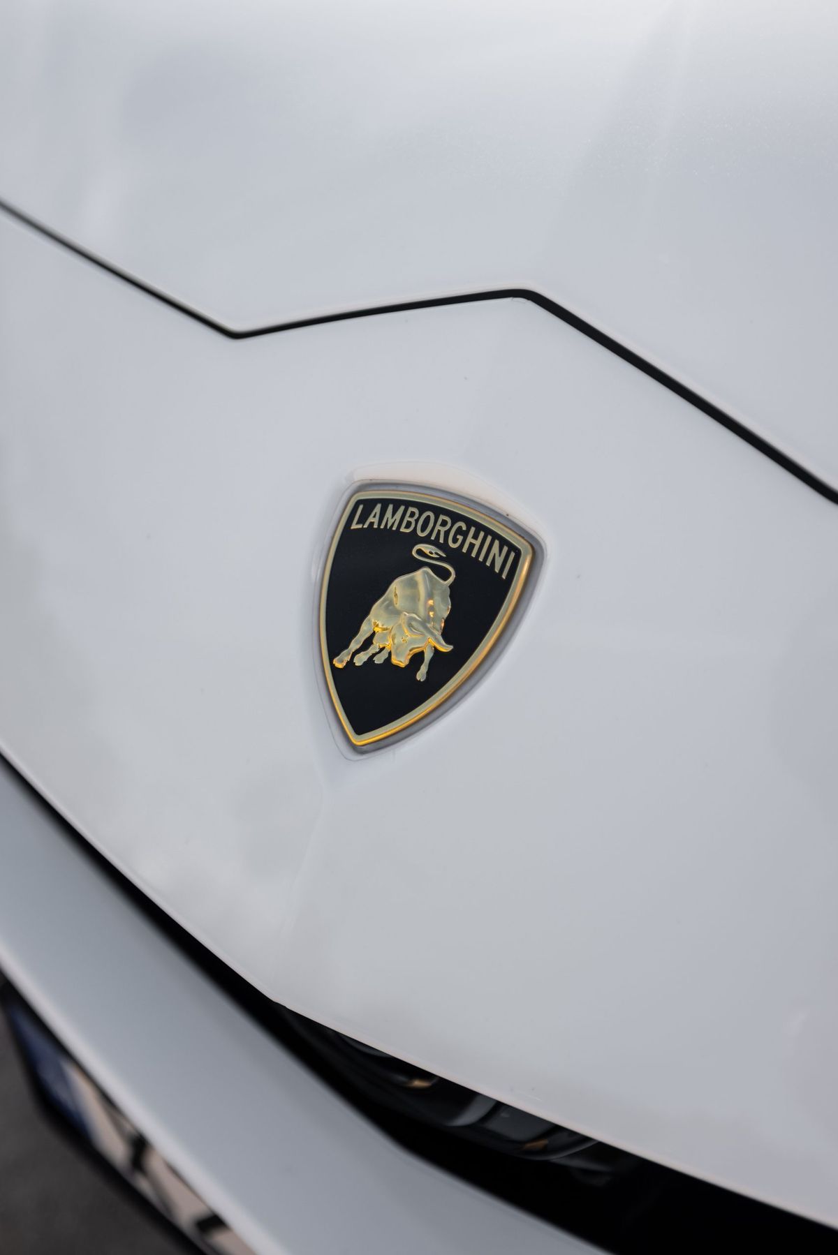 Lamborghini Urus photo 4